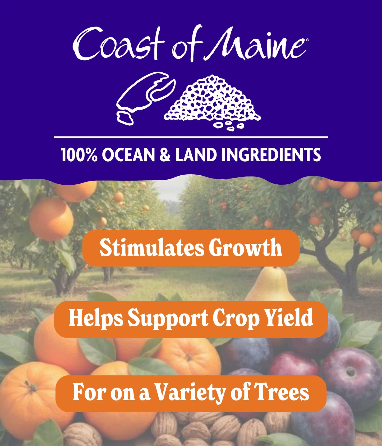 Citrus & Fruit Trees