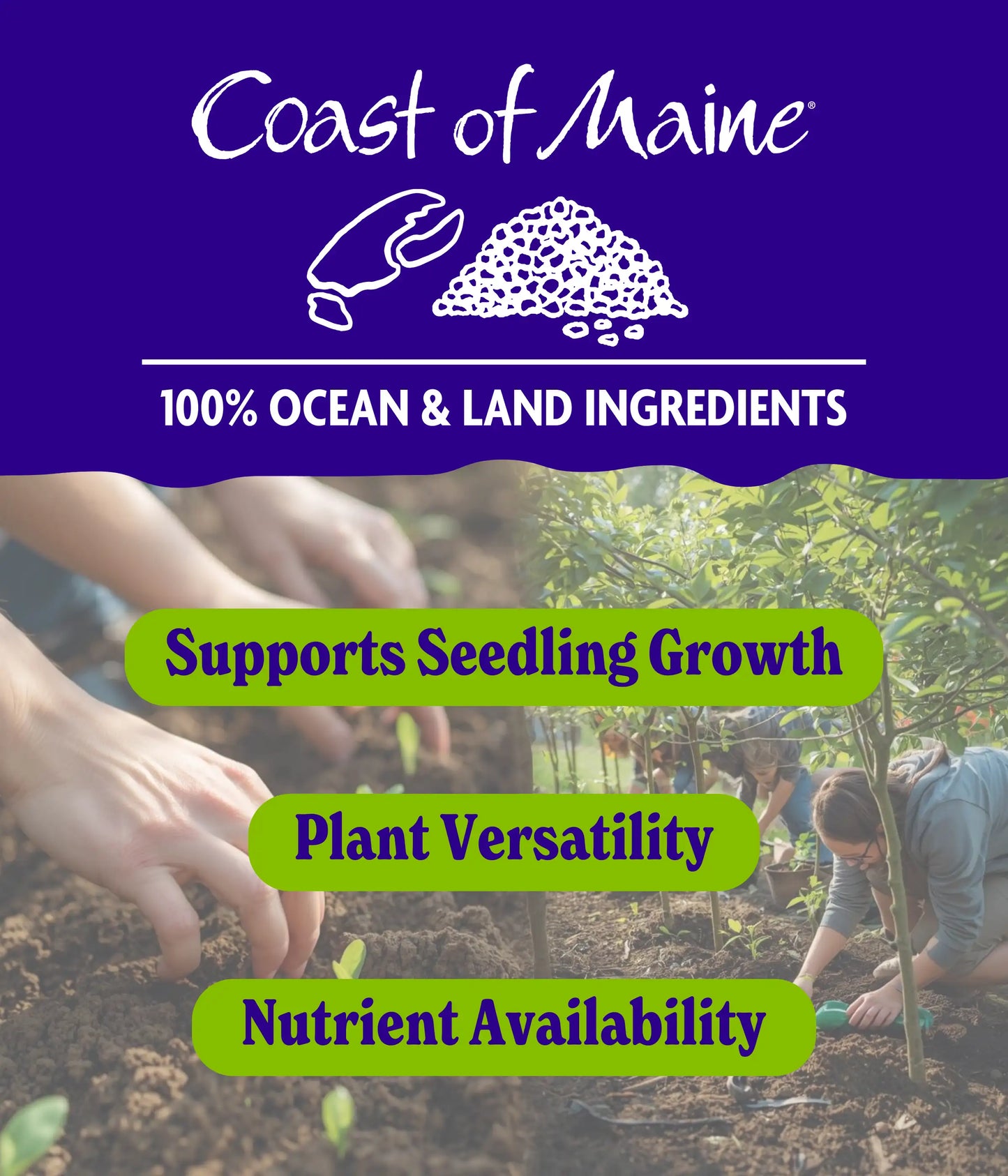 Starter Fertilizer