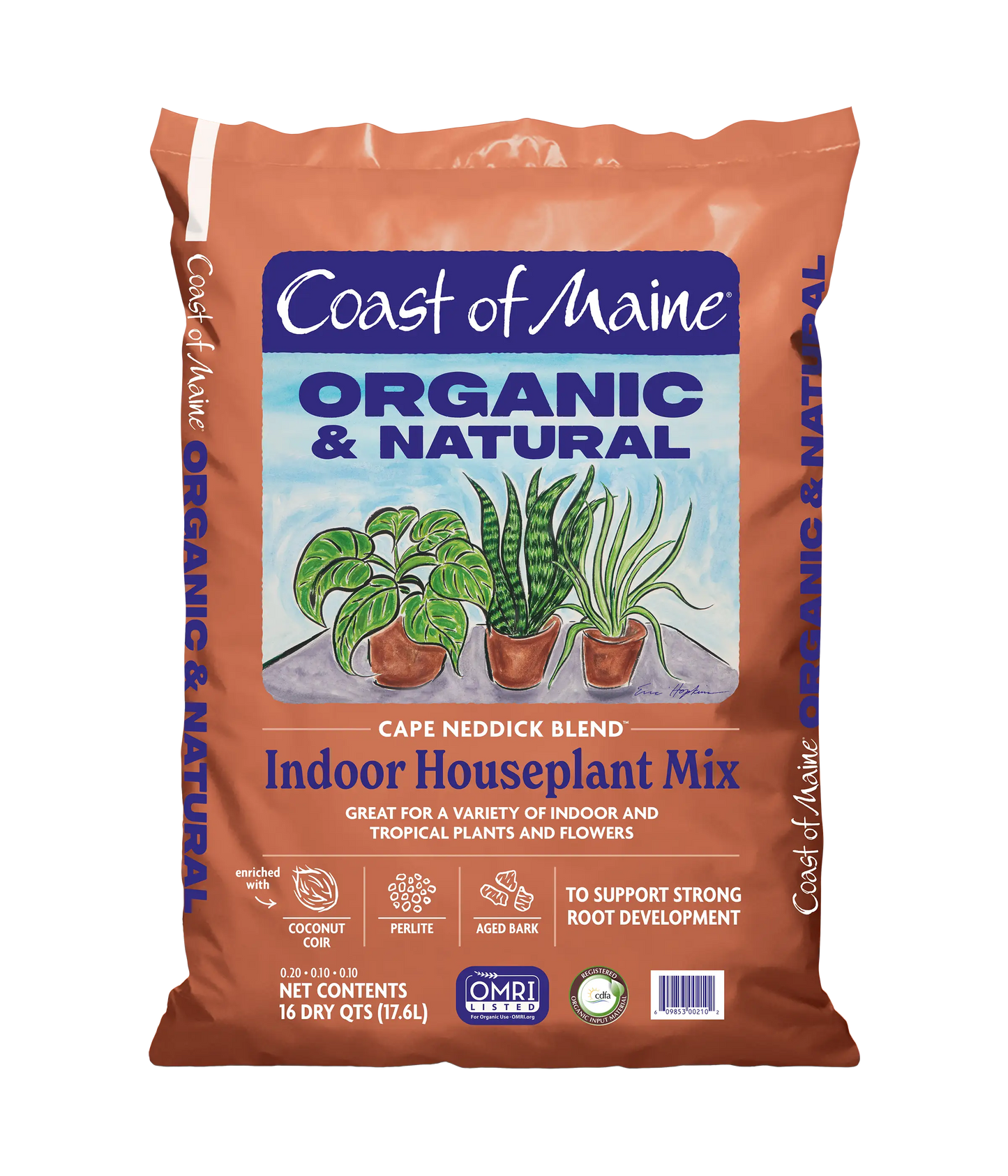 Indoor Houseplant Mix