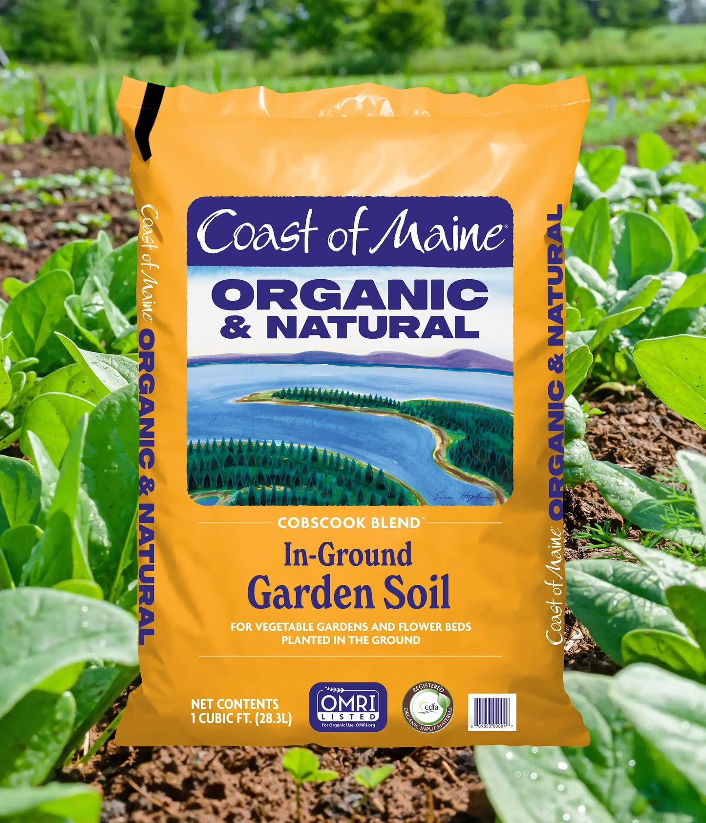 In-Ground Garden Soil