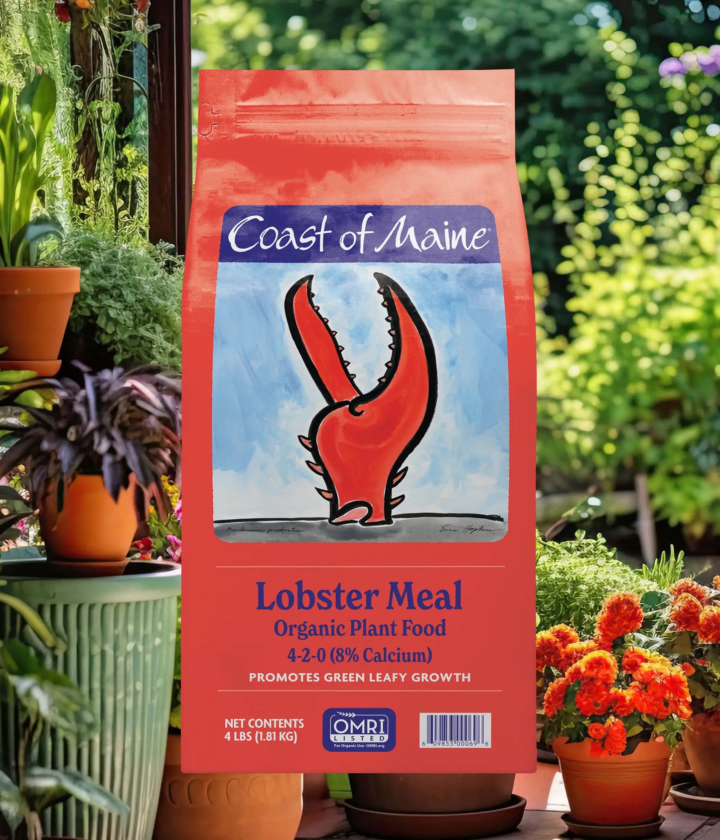 Lobster Meal