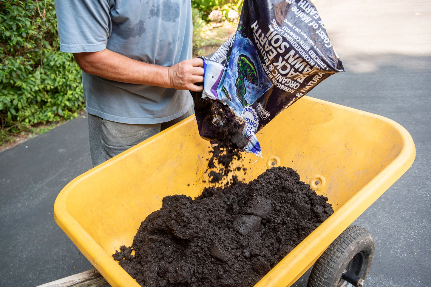 Black Earth Lawn Soil