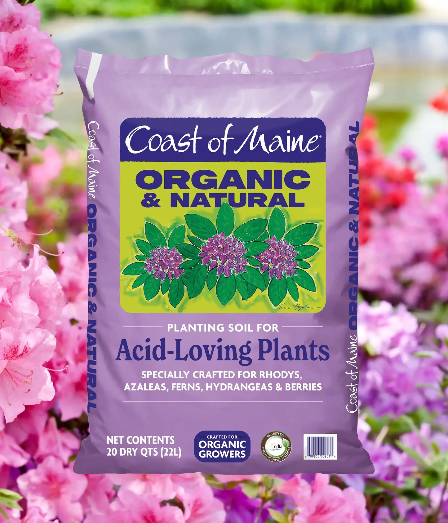 Acid-Loving Plants