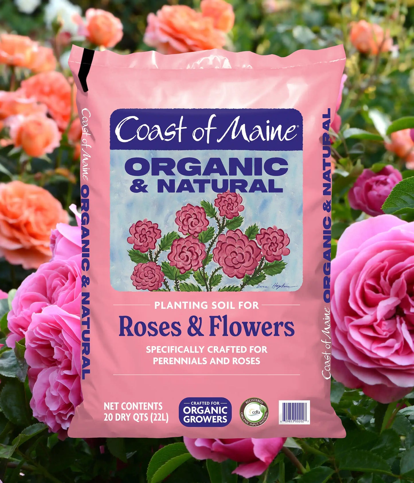Roses & Flowers