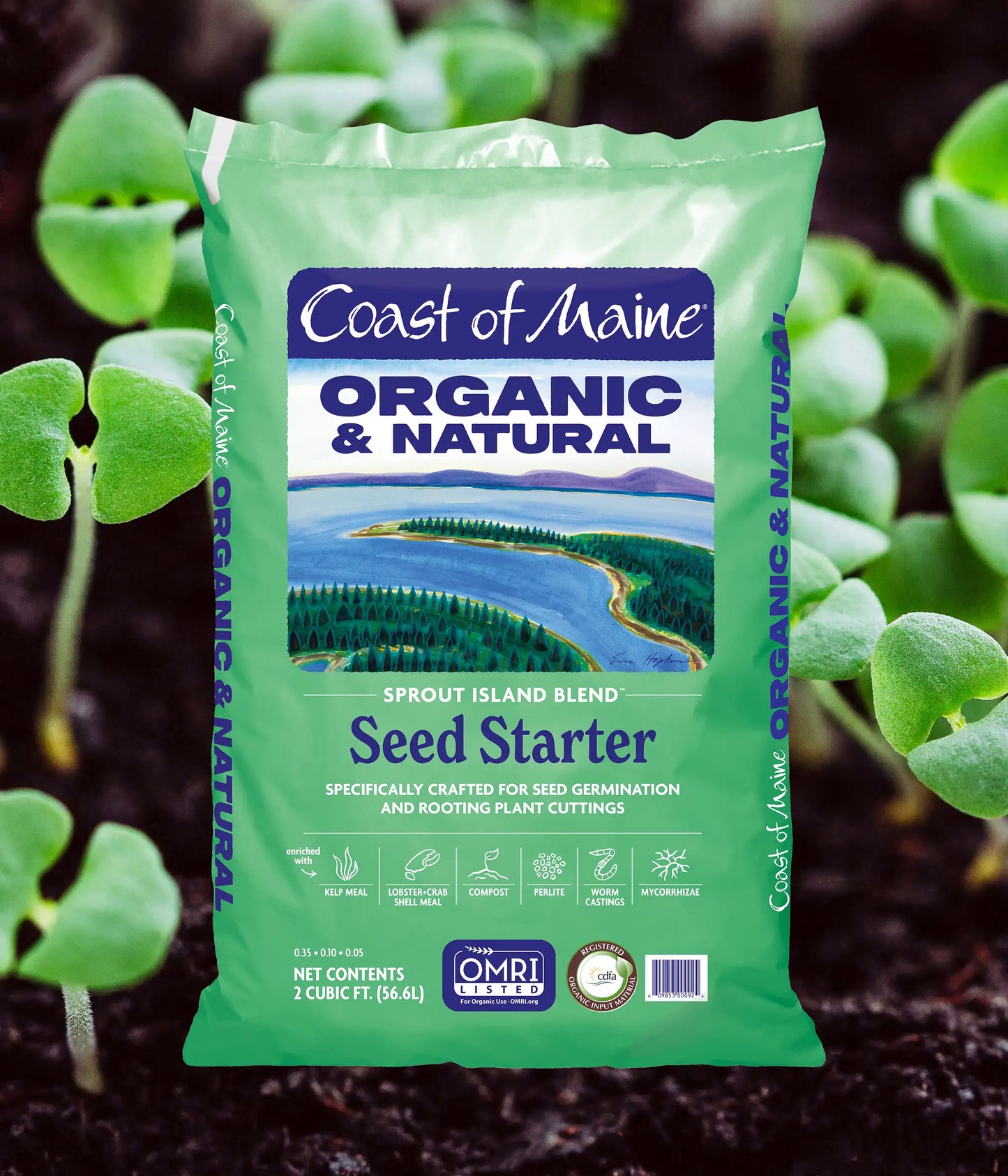 Seed Starter