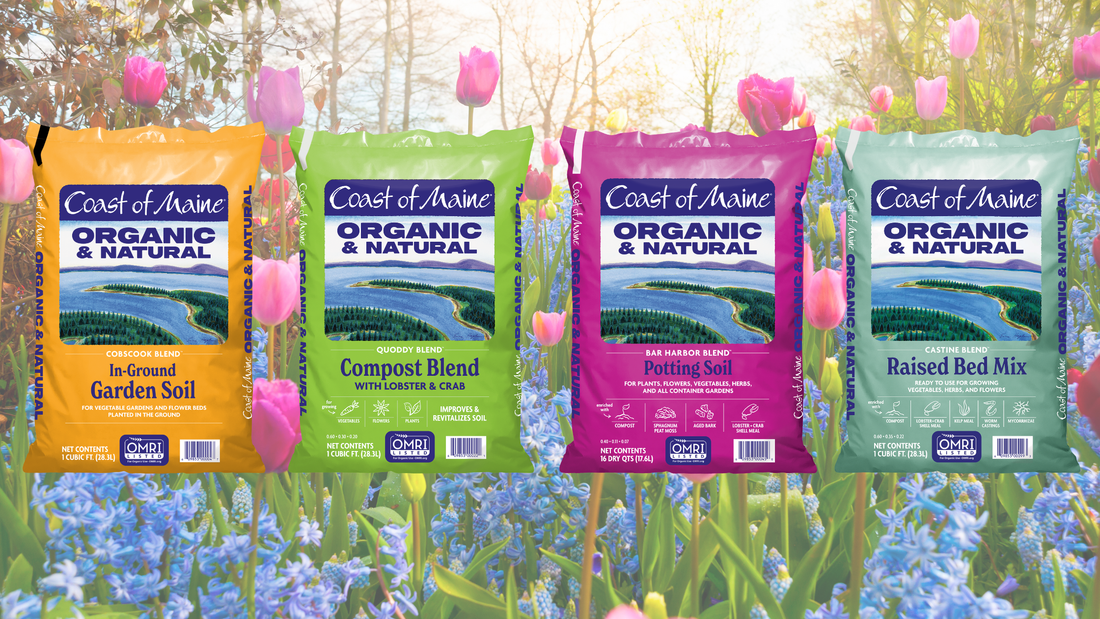 Harvest More, Harvest Often: The Simple Secret to a More Productive Garden