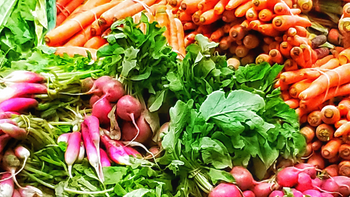 Top 10 Cool-Weather Vegetables to Plant in Early Spring – Coast of ...