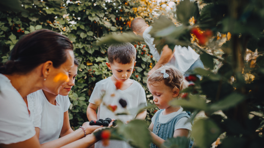 Beyond the Visual: Designing Your Own Sensory Sanctuary