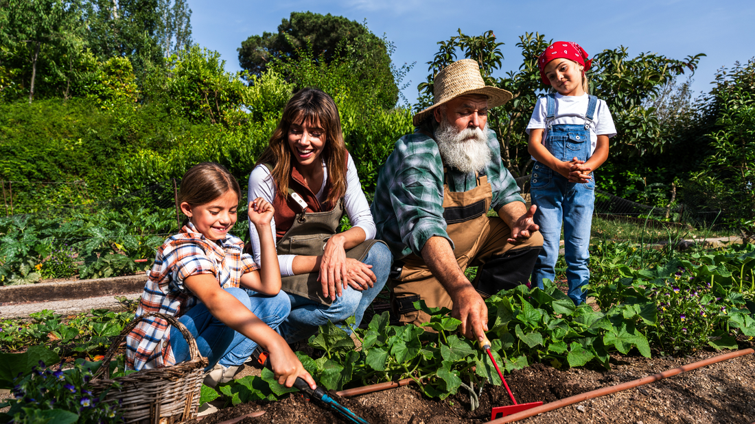 The Nutrient Gap: Reclaiming Quality in Every Bite