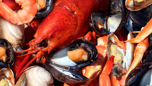 Shellfish Allergies and Gardening: What to Know About Our Lobster & Crab-Based Products