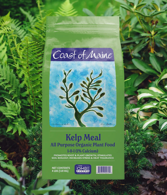 Kelp Meal: Organic Plant Food