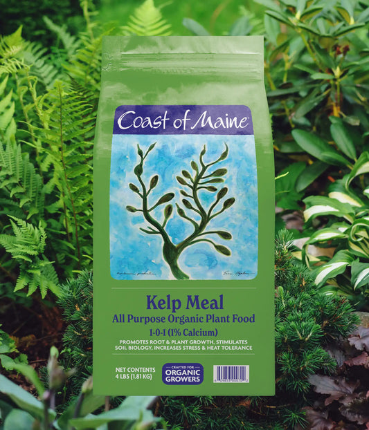 Kelp Meal: Organic Plant Food