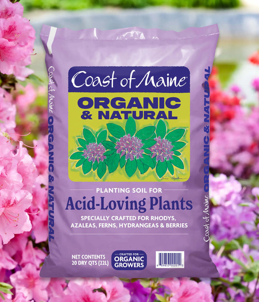 Planting Soil for Acid-Loving Plants