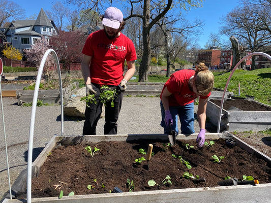 Growing Food to Enhance Resilient Communities: A Conversation with Maddie Kartoz, City Sprouts' Garden Operations Manager