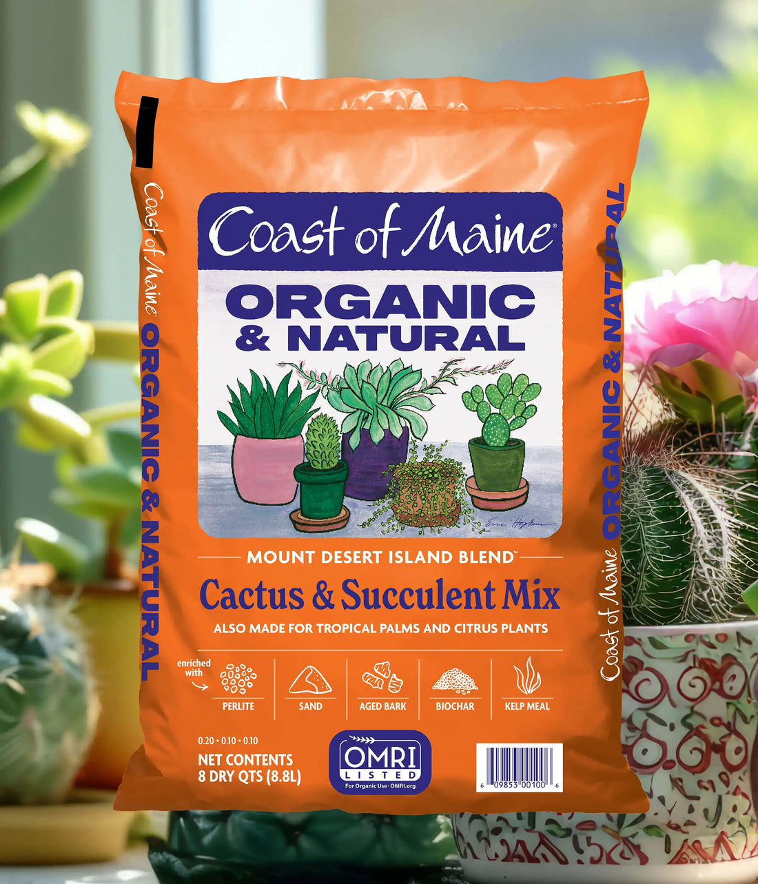 Mount Desert Island Blend: Cactus & Succulent Mix
