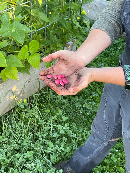 Seed Saving/Storage Tips & Tricks