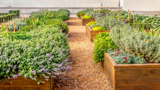 The Secret to Thriving Raised Beds: Castine Raised Bed Mix