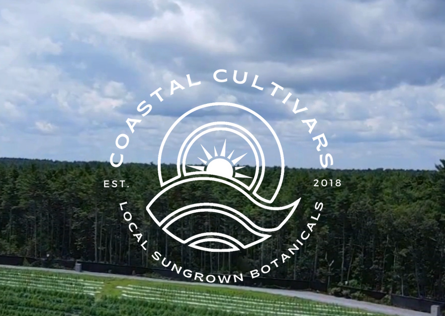 A Thriving Partnership in Cannabis Cultivation: Coastal Cultivars and Coast of Maine Brands