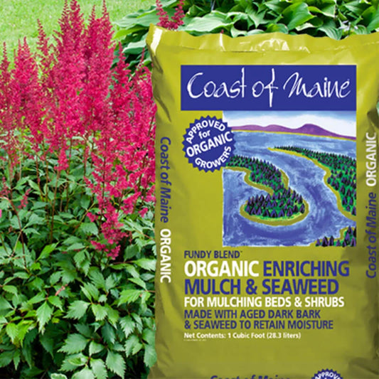 Fundy Blend: Enriching Mulch & Seaweed