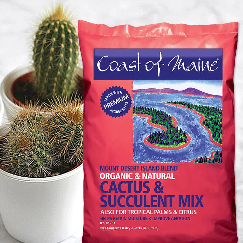 Mount Desert Island Blend: Cactus & Succulent Mix