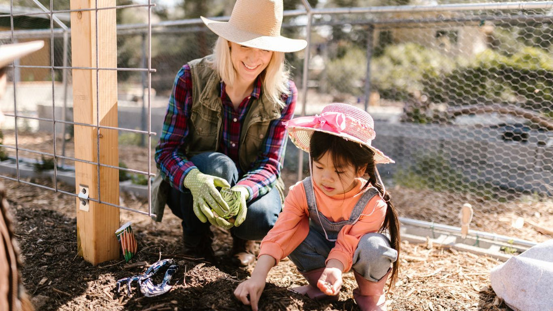 Preventing Over-Mulching: How to Protect Your Trees and Promote Healthy Growth