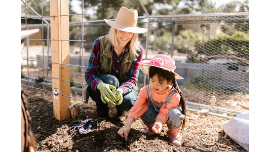 Preventing Over-Mulching: How to Protect Your Trees and Promote Healthy Growth