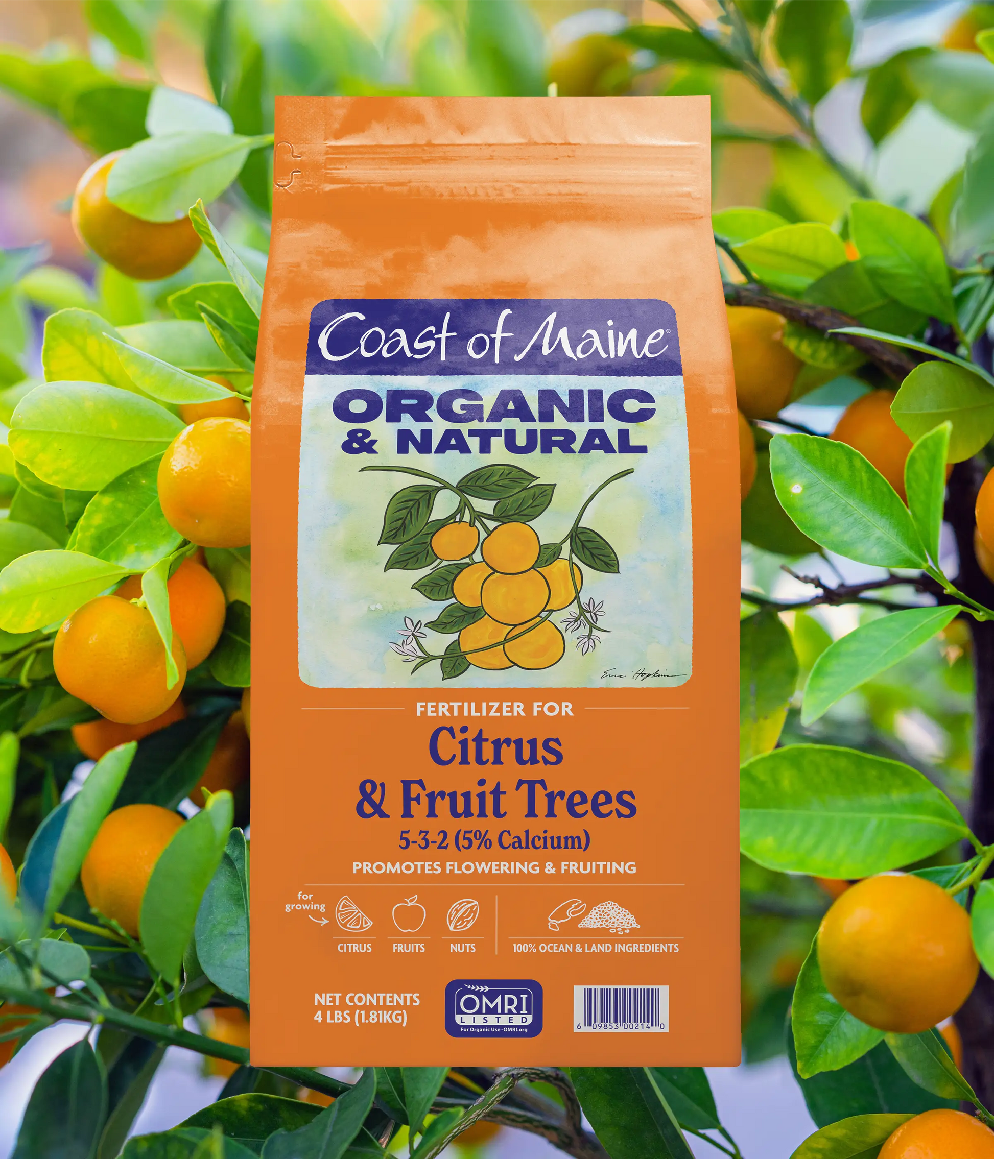 fertilizer for citrus plants Coast of Maine Citrus & Fruit Tree Fertilizer, 4 Lb