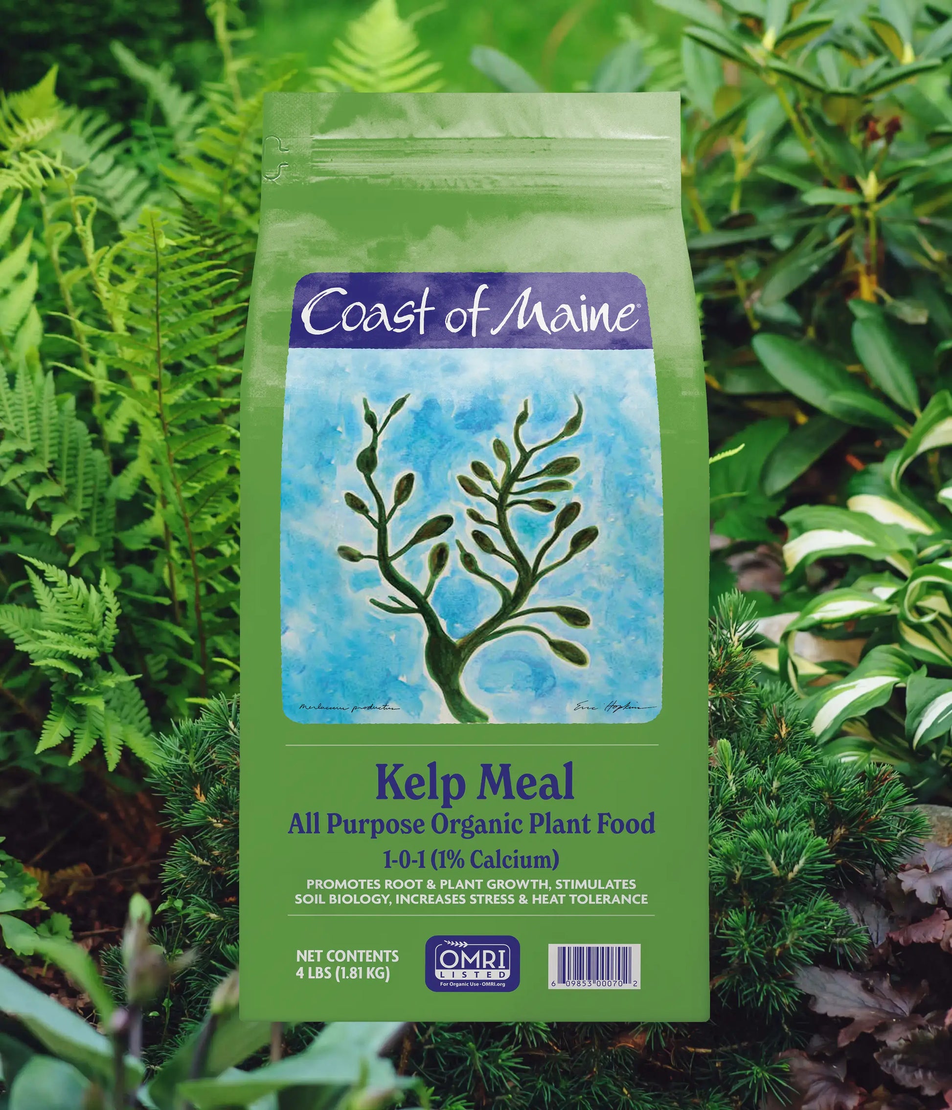 kelp plant fertilizer Coast of Maine 1-0-1 4 lbs Kelp Meal Organic Plant Food