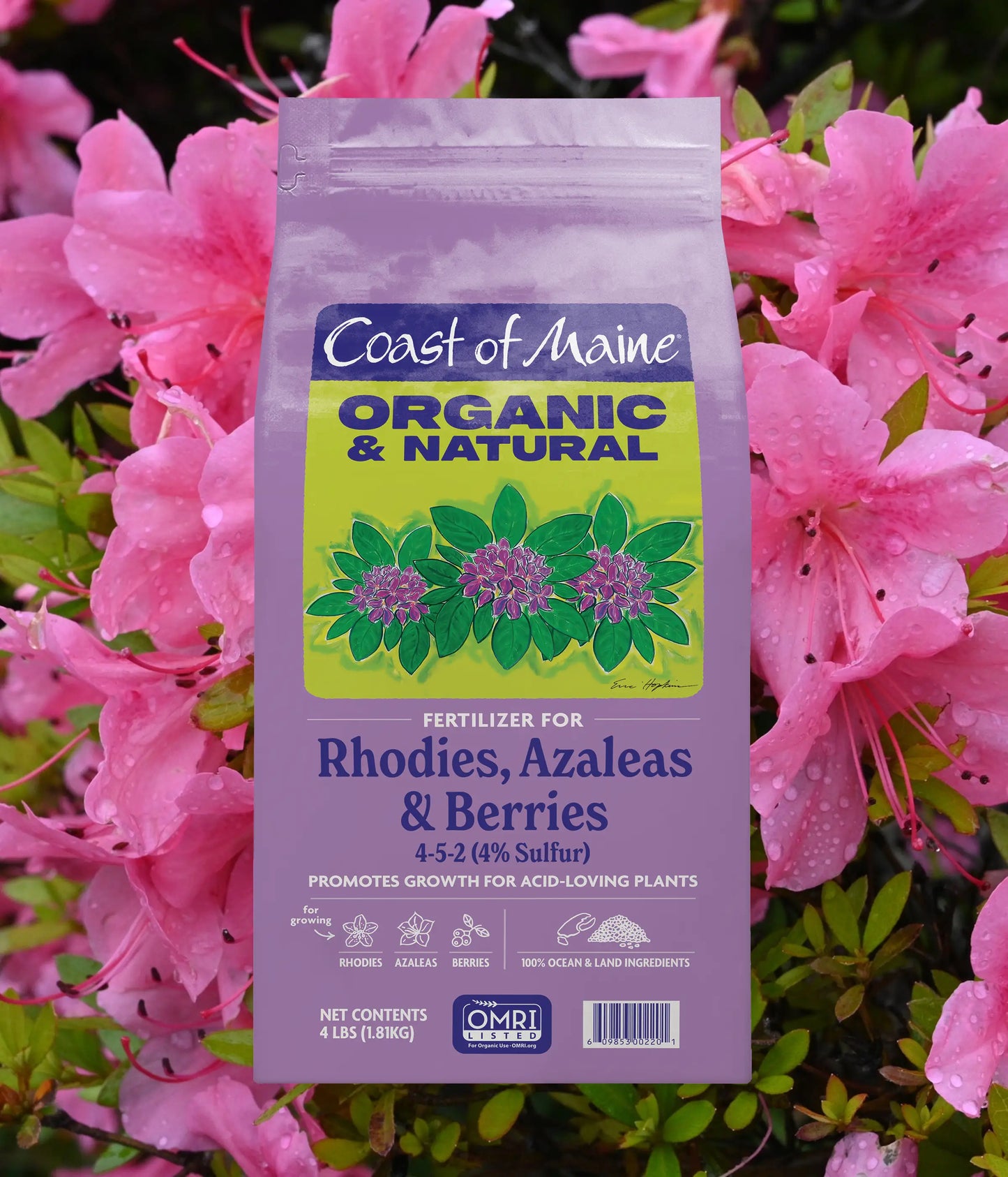 pink fertilizer for plants Fertilizer for Rhodies Azaleas & Berries – Coast of Maine Organic Products