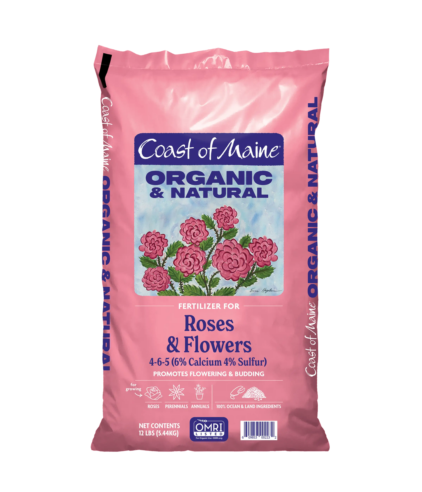 Roses & Flowers