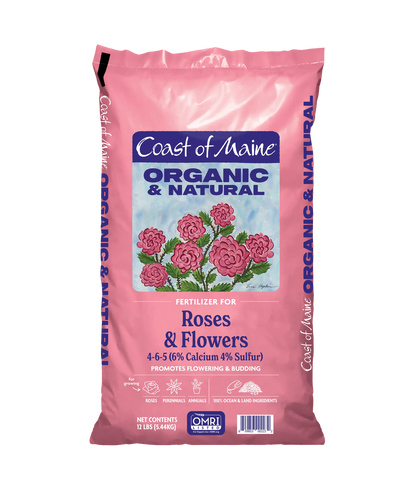 Roses & Flowers