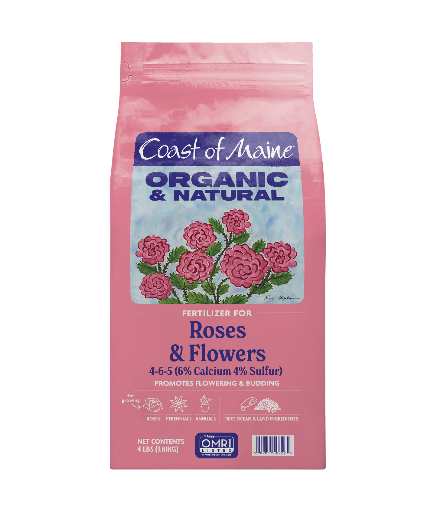 Roses & Flowers