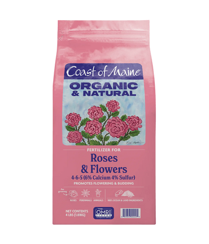 Roses & Flowers