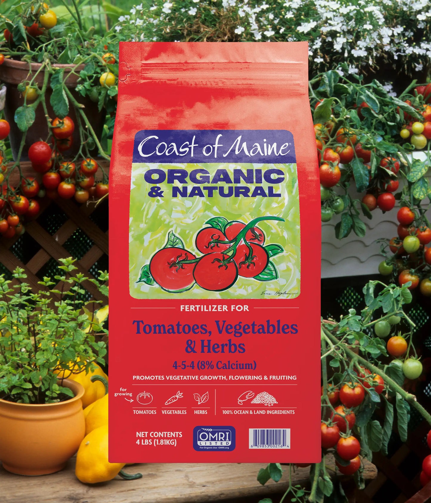 Tomatoes Vegetables & Herbs