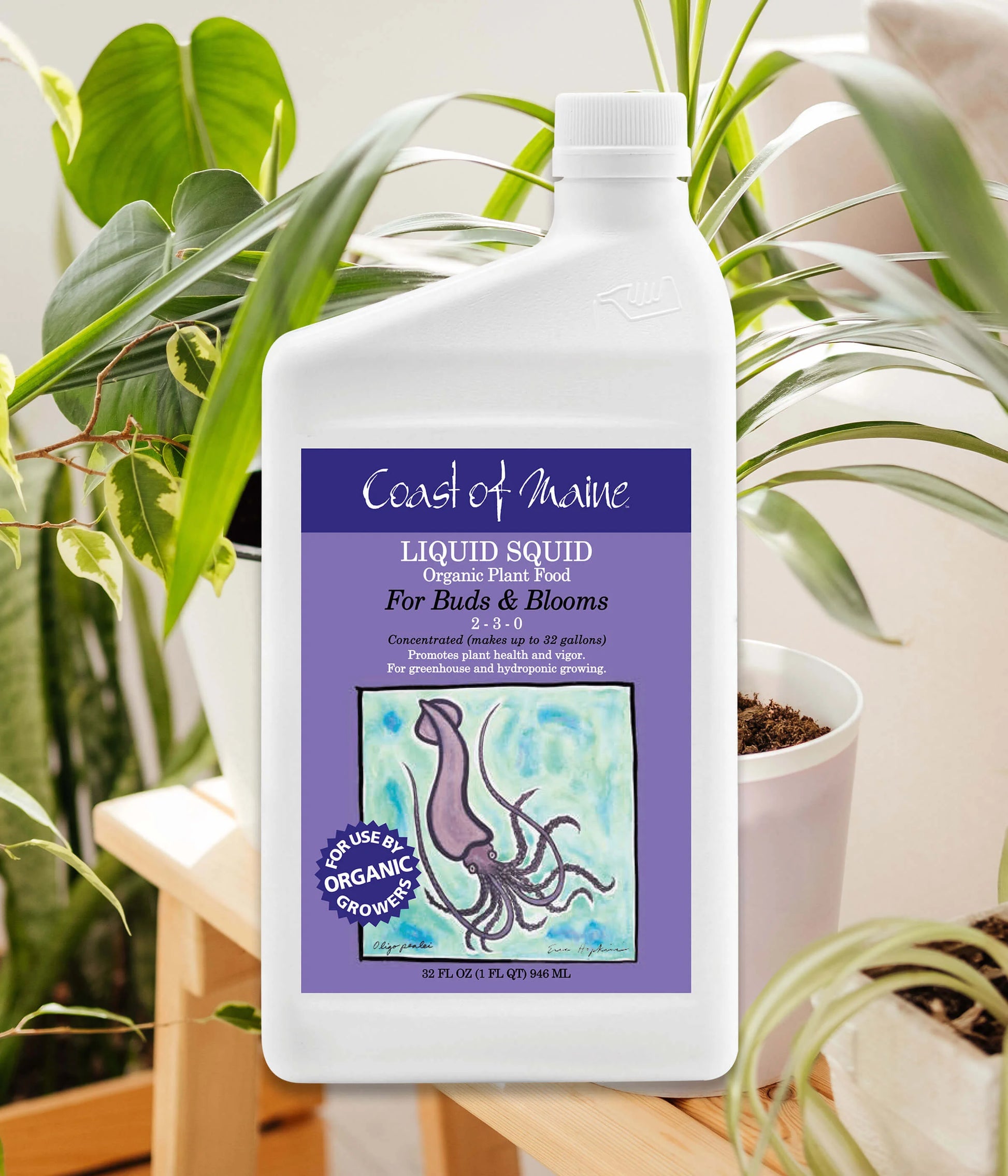 liquid fertiliser for indoor plants Indoor Plants
