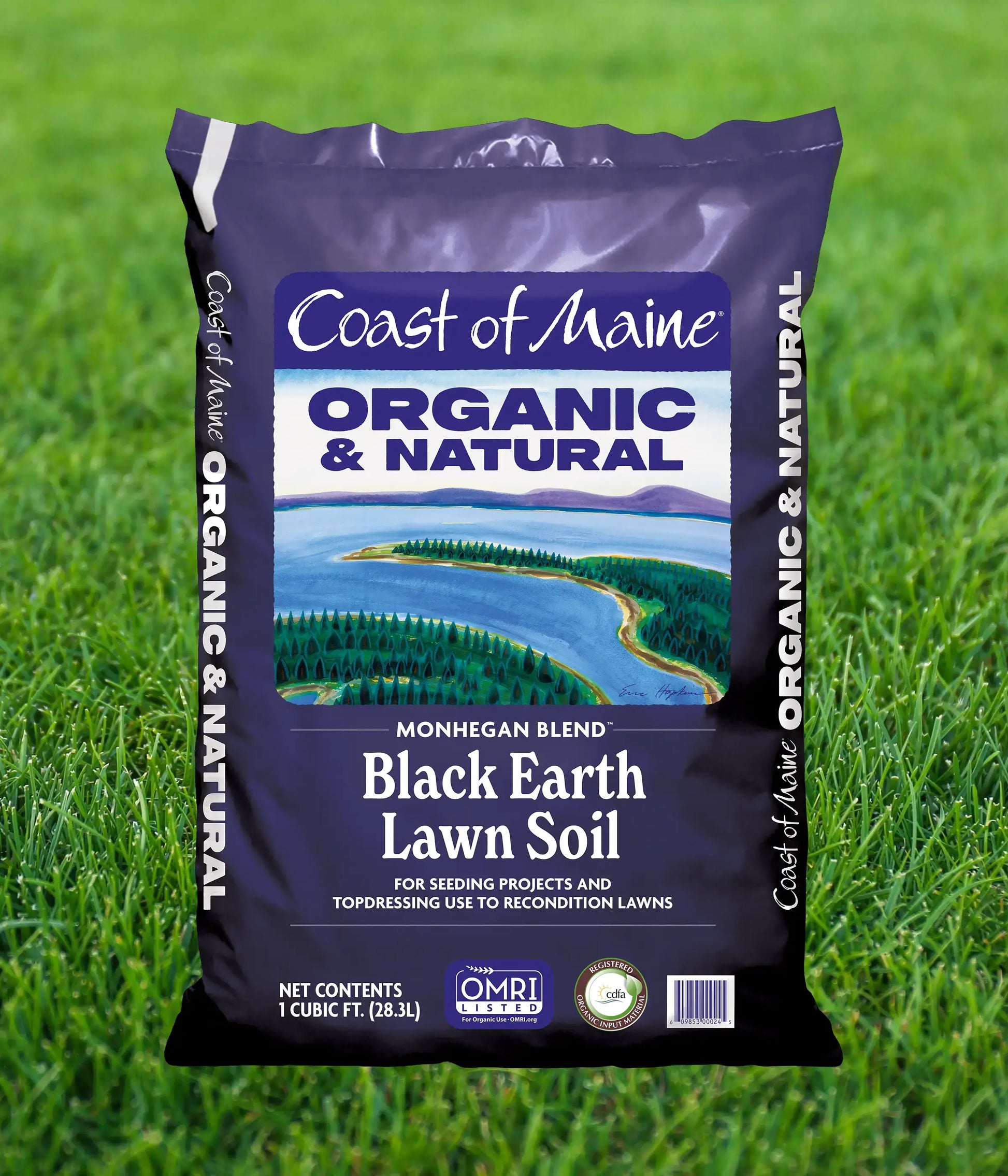 planting grass seed in maine Black Earth Lawn Soil