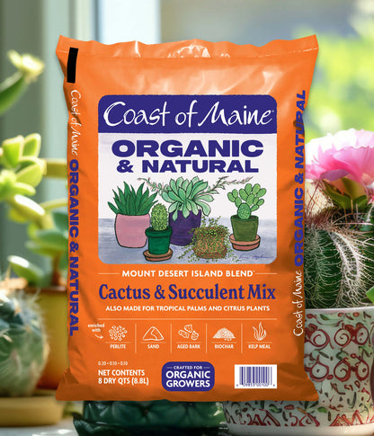 Organic Cactus & Succulent Mix
