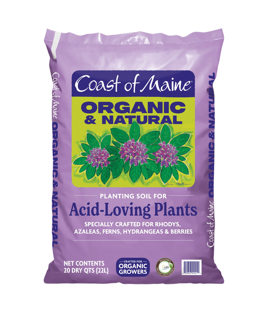 Acid-Loving Plants