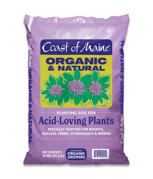Acid-Loving Plants