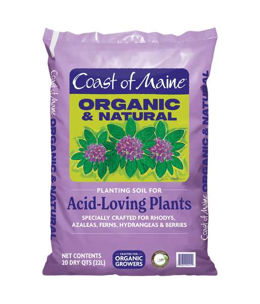 are succulents acid loving plants Acid-Loving Plants