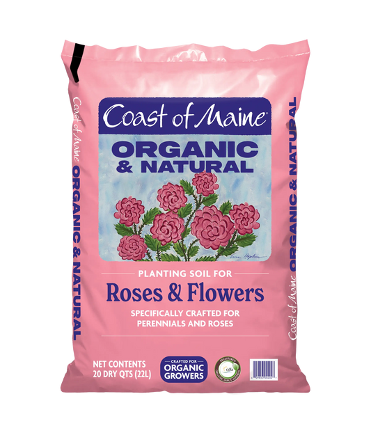 Roses & Flowers