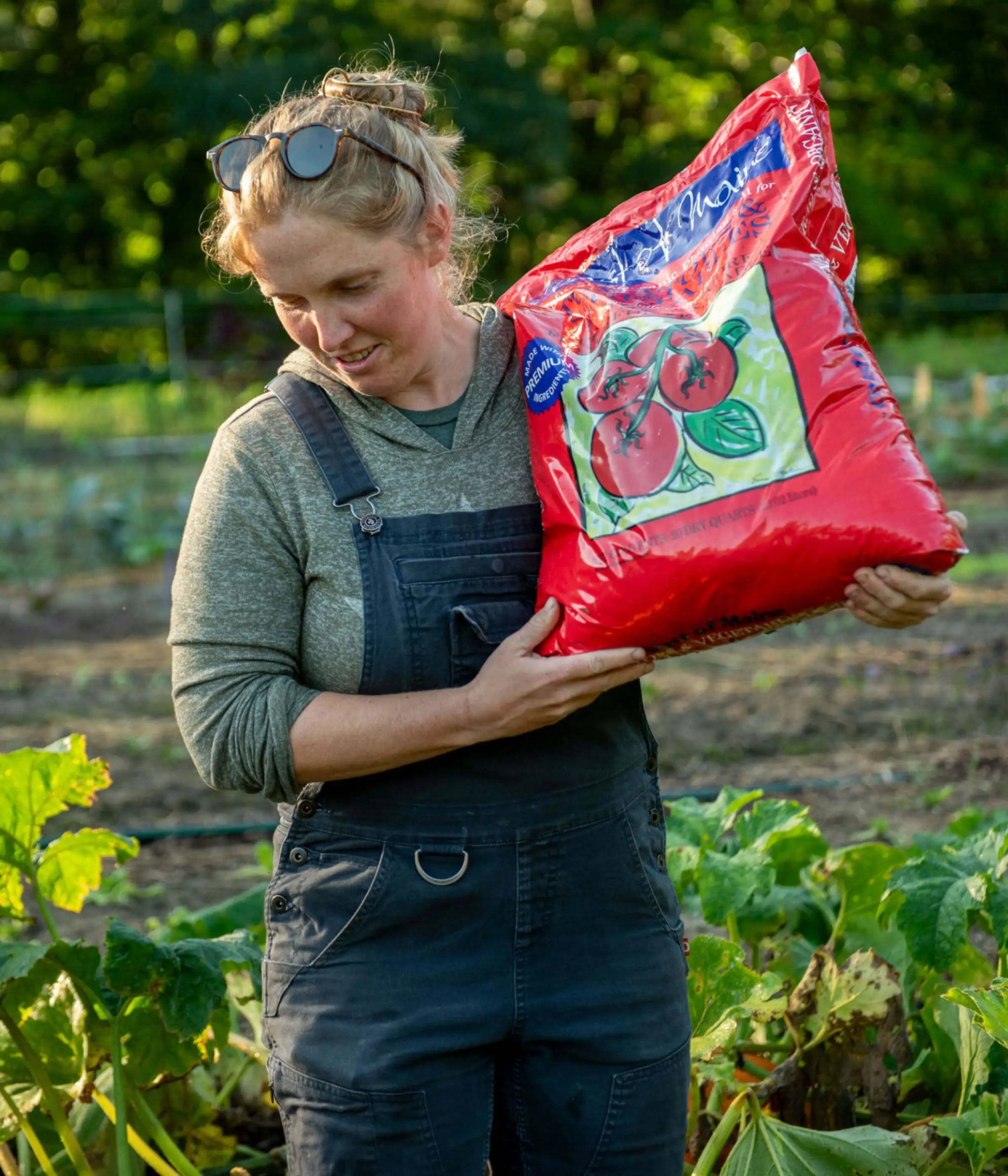 planting tomatoes in bags of potting soil Planting Soil for Tomato & Veggies – Coast of Maine Organic Products