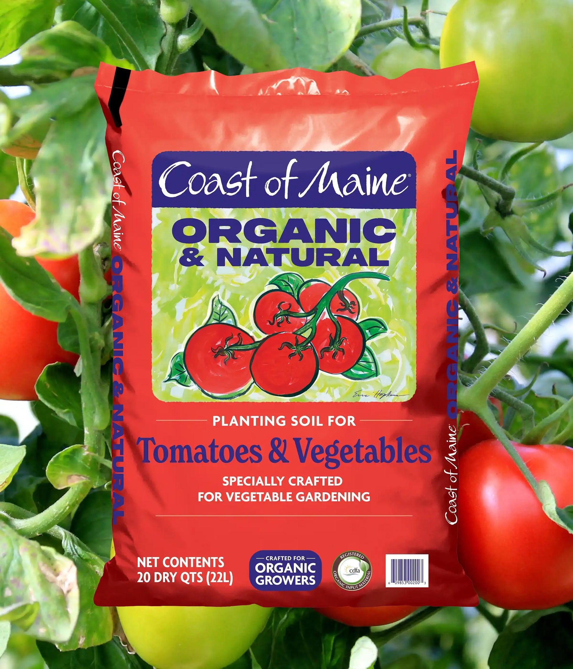 can you use potting mix for tomatoes Tomatoes & Vegetables