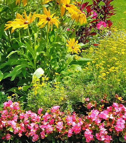 acid loving plants potting soil Planting Soil for Acid-Loving Plants – Coast of Maine Organic Products